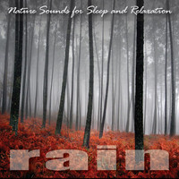 Thumbnail for the Rain - Nature Sounds for Sleep and Relaxation link, provided by host site