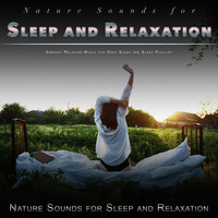 Thumbnail for the Nature Sounds for Sleep and Relaxation - Nature Sounds for Sleep and Relaxation: Ambient Relaxing Music for Deep Sleep and Sleep Playlist link, provided by host site