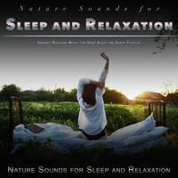 Thumbnail for the Nature Sounds for Sleep and Relaxation - Nature Sounds for Sleep and Relaxation: Ambient Relaxing Music for Deep Sleep and Sleep Playlist link, provided by host site