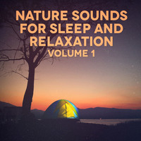 Thumbnail for the Rest & Relax Nature Sounds Artists - Nature Sounds for Sleep and Relaxation link, provided by host site