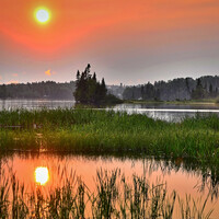 Thumbnail for the Nature Sounds for Sleep and Relaxation - Nature Sounds for Sleep and Relaxation – Nature Sounds Crickets and Rain Loopable link, provided by host site