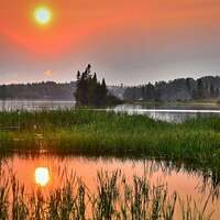 Thumbnail for the Nature Sounds for Sleep and Relaxation - Nature Sounds for Sleep and Relaxation – Nature Sounds Crickets and Rain Loopable link, provided by host site