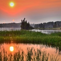 Thumbnail for the Nature Sounds for Sleep and Relaxation - Nature Sounds for Sleep and Relaxation – Nature Sounds Crickets and Rain Loopable link, provided by host site