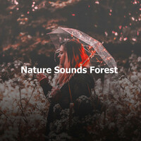 Thumbnail for the Nature Sound Series - ! ! ! Nature Sounds Forest ! ! ! link, provided by host site