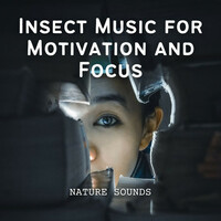 Thumbnail for the Nature Sounds Library - Nature Sounds: Insect Music for Motivation and Focus link, provided by host site