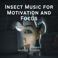 Thumbnail for the Nature Sounds Library - Nature Sounds: Insect Music for Motivation and Focus link, provided by host site