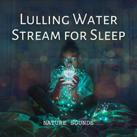 Thumbnail for the Water Sounds for Sleep - Nature Sounds: Lulling Water Stream for Sleep link, provided by host site