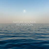 Thumbnail for the Whale Sounds - Nature Sounds Relaxation link, provided by host site
