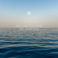Thumbnail for the Whale Sounds - Nature Sounds Relaxation link, provided by host site