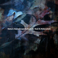 Thumbnail for the Echoes Of Nature - Nature Soundscape Echoes for Rest & Relaxation link, provided by host site