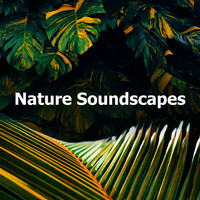 Thumbnail for the Nature Sounds & Backgrounds - Nature Soundscapes link, provided by host site