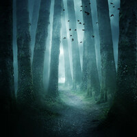 Thumbnail for the Ohms - Natures link, provided by host site
