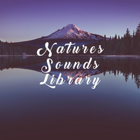 Thumbnail for the Rain Sounds - Natures Sounds Library link, provided by host site