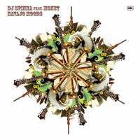 Thumbnail for the DJ Spinna - Navajo Mood (Edit) link, provided by host site