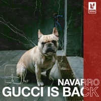 Image of Navarro linking to their artist page due to link from them being at the top of the main table on this page