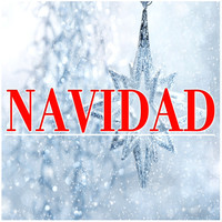 Thumbnail for the Canciones De Navidad - Navidad link, provided by host site