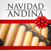 Thumbnail for the Tradicional - Navidad Andina (Villancicos De Navidad Andinos) link, provided by host site