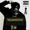 Thumbnail for the ExQ - Ndamenya link, provided by host site