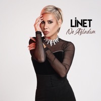 Thumbnail for the Linet - Ne Ağladım link, provided by host site