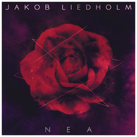 Thumbnail for the Jakob Liedholm - NEA link, provided by host site