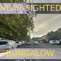 Thumbnail for the Viceroy - Near-Sighted Bungalow link, provided by host site