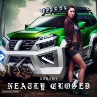 Thumbnail for the Sunami - Neatly Closed link, provided by host site
