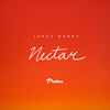 Thumbnail for the James Monro - Nectar link, provided by host site