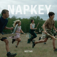 Thumbnail for the Napkey - Nectar link, provided by host site