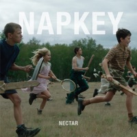 Thumbnail for the Napkey - Nectar link, provided by host site