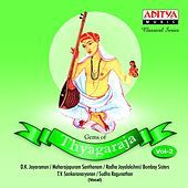 Thumbnail for the Sudha Raghunathan - Nee Bhajane - Nayaki - Aadi link, provided by host site