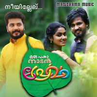 Thumbnail for the Vidhu Prathap - Nee Illelu Ee Njanundodee link, provided by host site