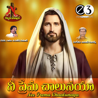 Thumbnail for the Sandeep - Nee Mataltho Naa Brathuku link, provided by host site