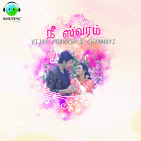 Thumbnail for the Chinmayi - Nee Swaram link, provided by host site