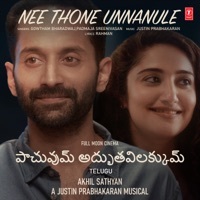 Thumbnail for the Gowtham Bharadwaj - Nee Thone Unnanule (From "Pachuvum Athbutha Vilakkum") link, provided by host site