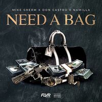 Thumbnail for the Mike Sherm - Need A Bag link, provided by host site
