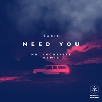 Thumbnail for the Oasis - Need You (Mr. Increible Remix) link, provided by host site