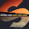 Thumbnail for the Mathieu Koss - Need Your Lovin' link, provided by host site