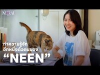 Thumbnail for the BNK48 - ทำความรู้จักอีกหนึ่งตัวตนของ “นีน” | Neen | #BNK485thGEN MIRAI link, provided by host site