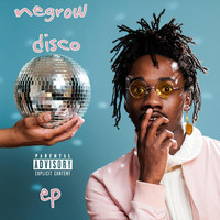Thumbnail for the Ric Wilson - Negrow Disco link, provided by host site