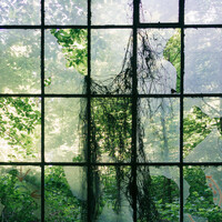 Thumbnail for the Rêve - Neither Two Nor One link, provided by host site
