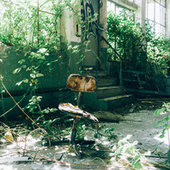 Thumbnail for the Rêve - Neither Two Nor One link, provided by host site