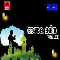 Thumbnail for the Rasheed - Nenjil link, provided by host site