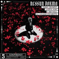 Thumbnail for the Steve Aoki - Nessun Dorma [Extended Mix] (Extended Mix) link, provided by host site