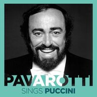 Thumbnail for the Luciano Pavarotti - Nessun Dorma! Pavarotti sings Puccini link, provided by host site