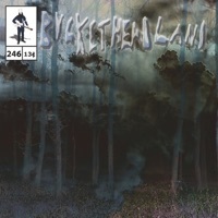 Thumbnail for the Buckethead - Nettle link, provided by host site