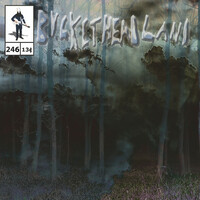 Thumbnail for the Buckethead - Nettle link, provided by host site