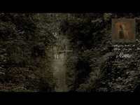 Thumbnail for the Ethel Cain - Nettles (Official Visualizer) link, provided by host site