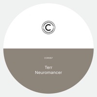 Thumbnail for the Terr - Neuromancer link, provided by host site