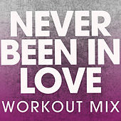 Thumbnail for the Db Sound - Never Been in Love link, provided by host site