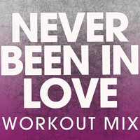 Thumbnail for the Db Sound - Never Been in Love link, provided by host site